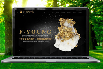 ̨�ݸ������ﱦʯ